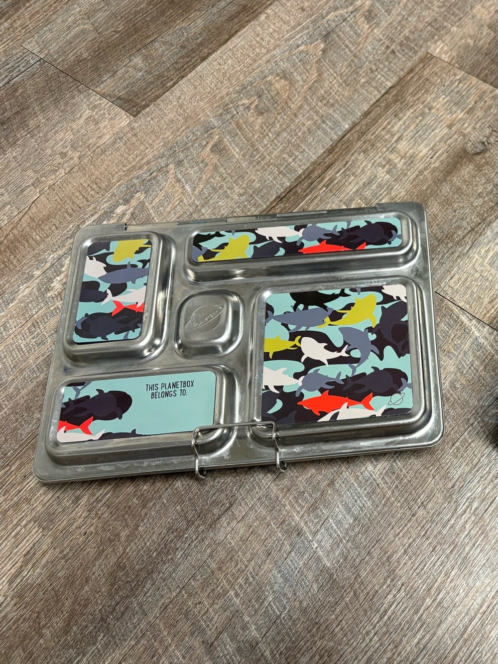 Stainless Steel Lunchbox with Shark Camo Inserts - Blue/Multicolor
